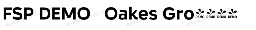 FSP DEMO   Oakes Gro字体转换